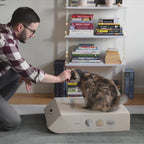 Wooden Indoor Pet Cabin for Cats and Small Dogs, Enclosed Plywood Retreat for Rest and Lounging product demonstration video