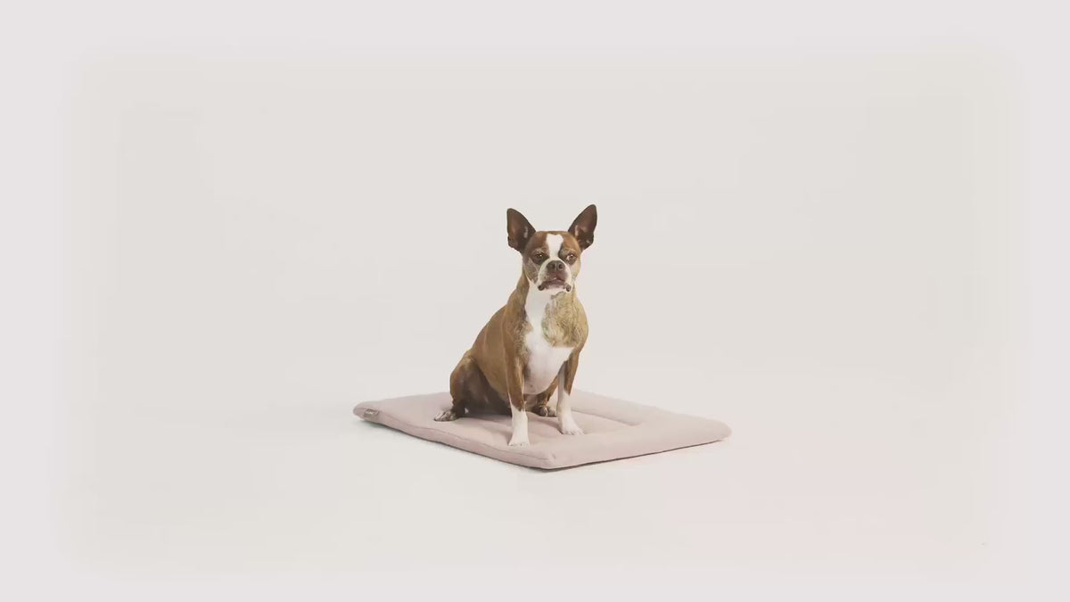 PAWD Crate Pad & Dog bed product video