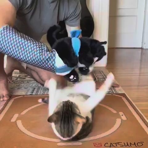 Interactive Wearable Cat Wrestler Toy product video