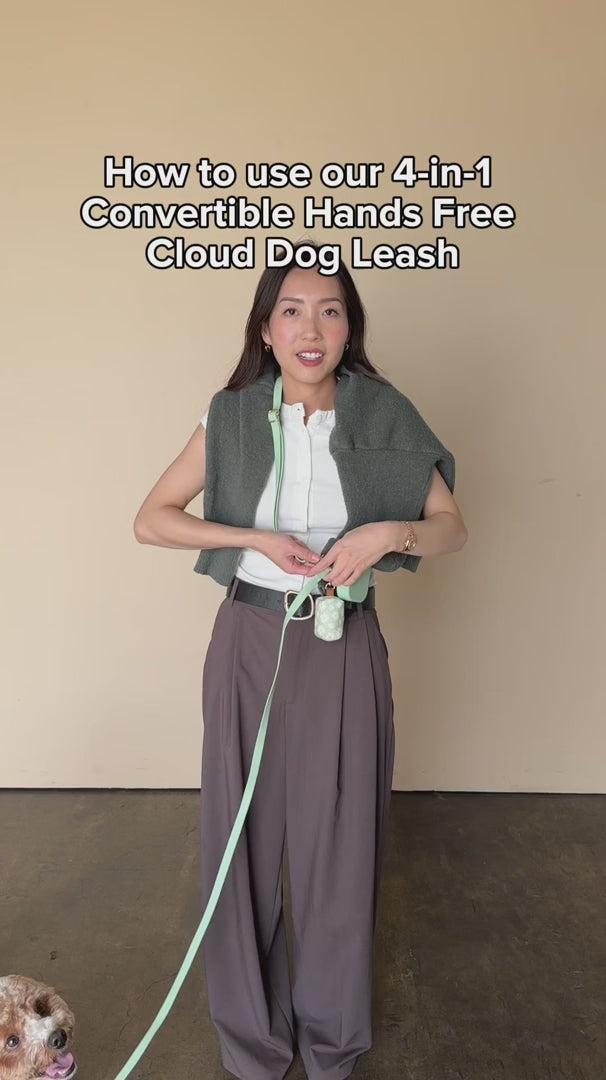 Hands-Free Dog Leash, Four-Way Convertible Crossbody and Waist Design in Standard or Wide Webbing source demonstration video
