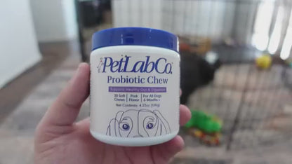 Dog Probiotic & Prebiotic Chewable Treats with Natural Ingredients - Supports Gut Health & Quality of Life for All Breeds, Daily Wellness Soft Chews for Dogs, 1pc & 3pc Value Pack
