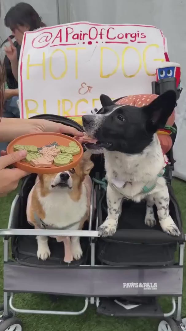 Holiday Freeze-Dried Pet Treats, 50g Chicken and Goat Milk Bites for Seasonal Cat and Dog Rewards product demonstration video