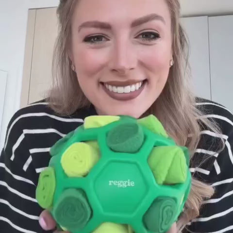 Interactive Snuffle Ball Dog Toy for Treat Foraging and Slow Feeding, 6-Inch Soft Design in One- or Two-Packs product demonstration video