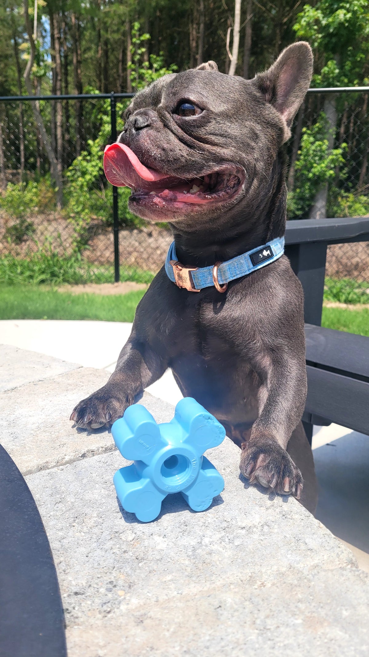 Dog Chew Toy product image 21