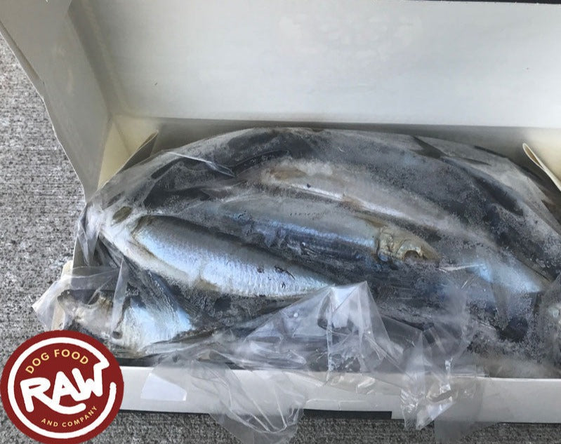 Whole Sardines for Pet Meals, Wild-Caught Gulf Fish for Omega-3, Protein and Everyday Skin & Coat Support