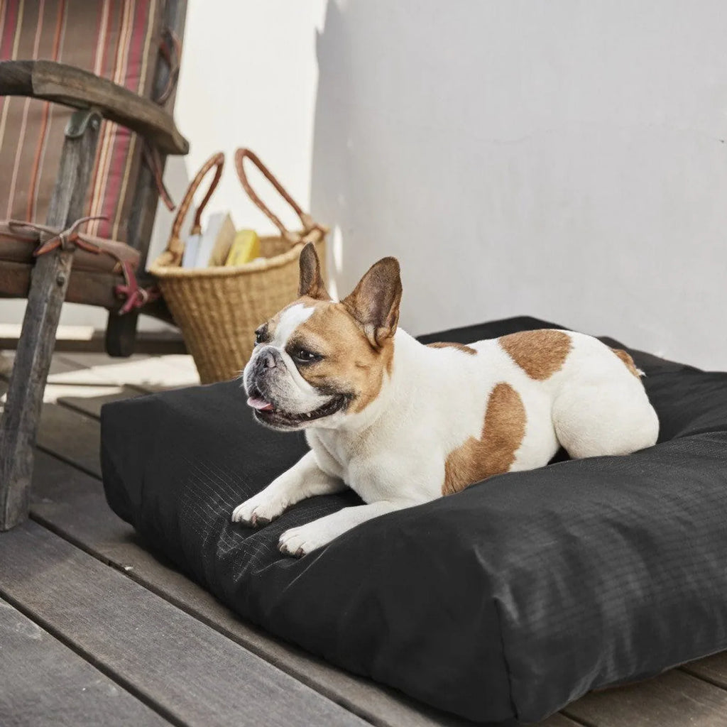 Ripstop rectangle dog pillow bed with heavy duty cover, product image 24