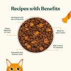 Salmon, Whitefish, & Pumpkin Kibble product image 3