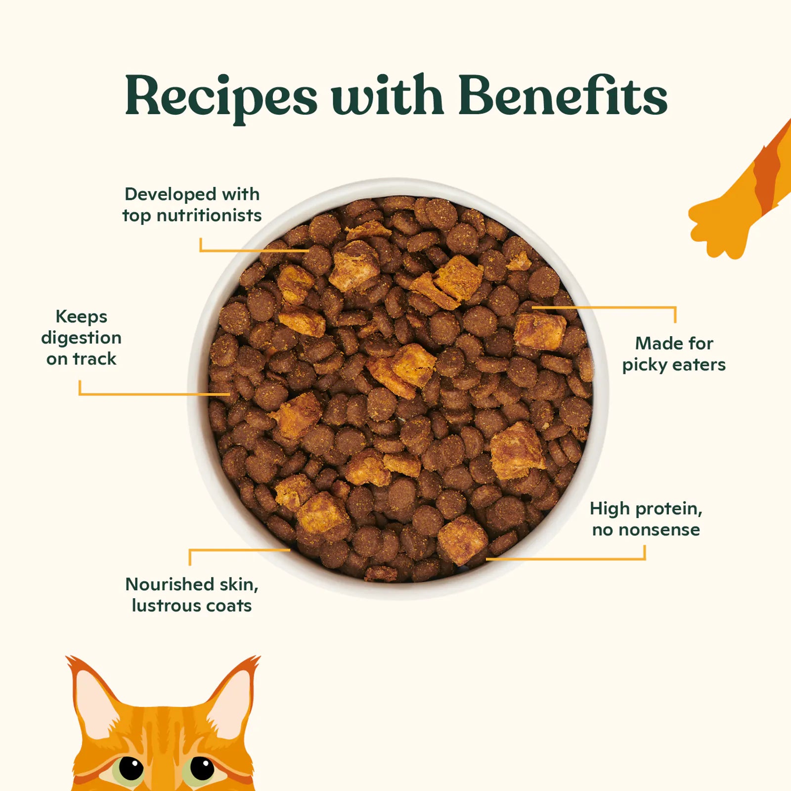 Salmon, Whitefish, & Pumpkin Kibble product image 3