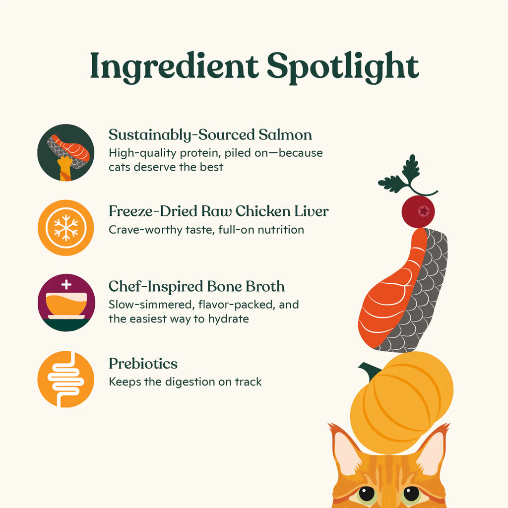 Salmon, Whitefish, & Pumpkin Kibble product image 4