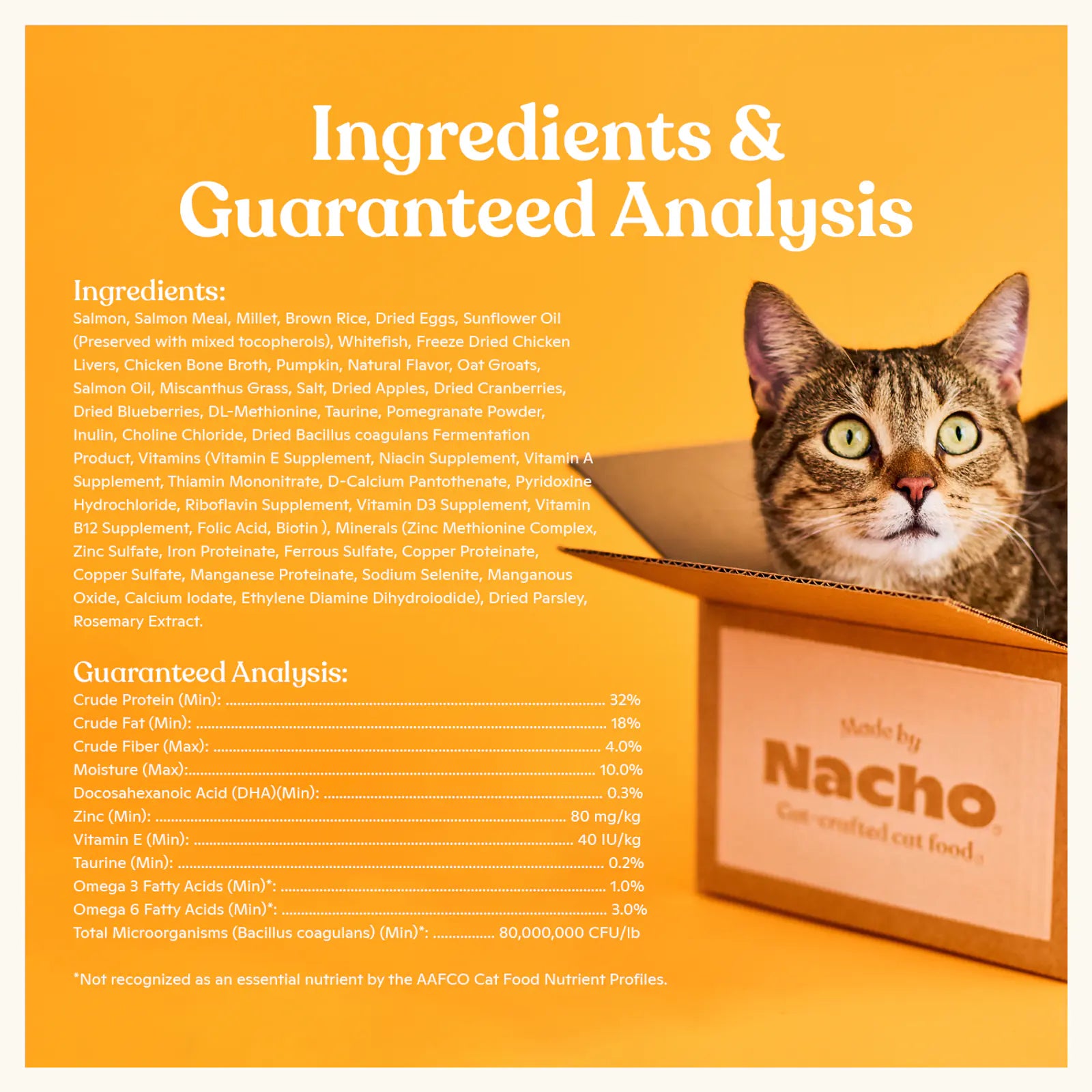 Salmon, Whitefish, & Pumpkin Kibble product image 5