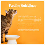 Salmon, Whitefish, & Pumpkin Kibble product image 6
