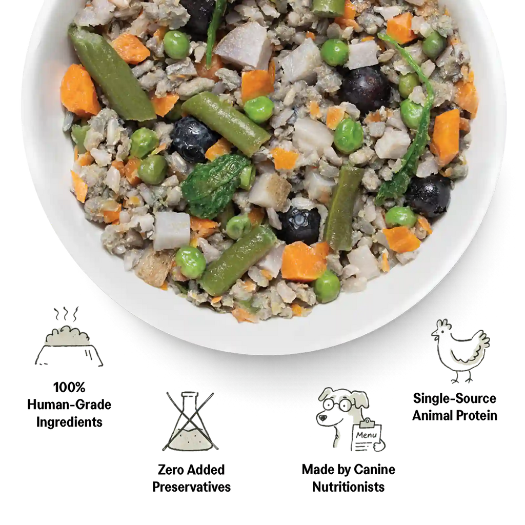 Shelf stable human grade dog food in multiple recipes, product image 4