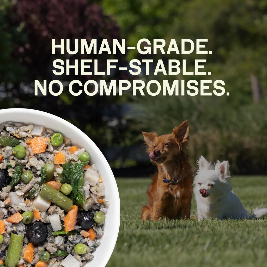 Shelf stable human grade dog food in multiple recipes, product image 5