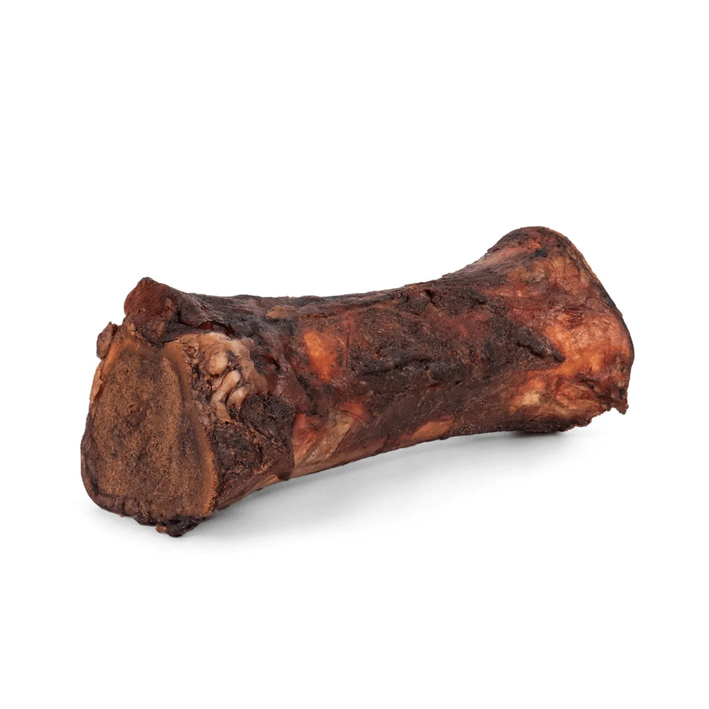 Single smoked beef marrow bone on white background
