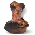 Front view of smoked beef marrow bone showcasing smoked finish and visible marrow on white background