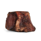 Close-up front view of small smoked beef marrow bone showcasing exposed marrow and smoked surface on white background