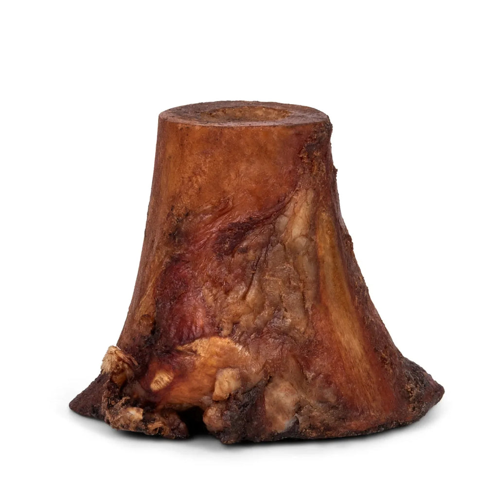 Front view of smoked beef marrow bone showcasing smoked, browned exterior and exposed marrow cavity on white background