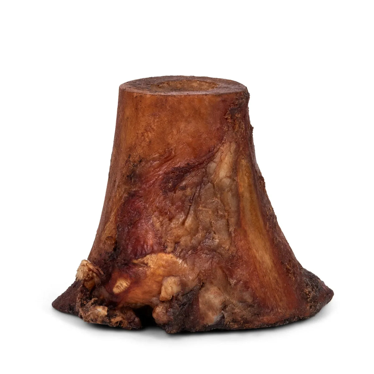 Front view of smoked beef marrow bone showcasing smoked, browned exterior and exposed marrow cavity on white background