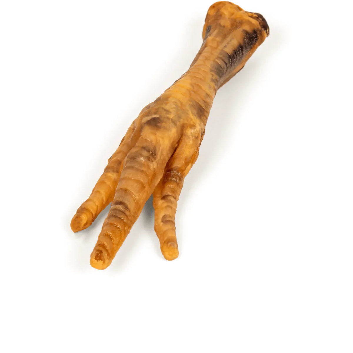 Angled view of Hanna’s smoked chicken foot showing three toes and wrinkled dried skin on white background