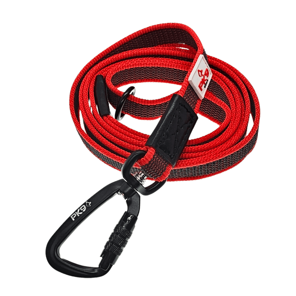Dog Leash, 6ft Super Grip Non-Slip Training Lead for Wet Walks, Obedience Practice and Everyday Control
