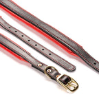 Leather Dog Collar for Strong, Comfortable Handling: Padded Veg-Tanned Design with Brass Hardware
