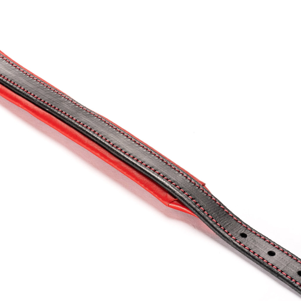 Leather Dog Collar for Strong, Comfortable Handling: Padded Veg-Tanned Design with Brass Hardware