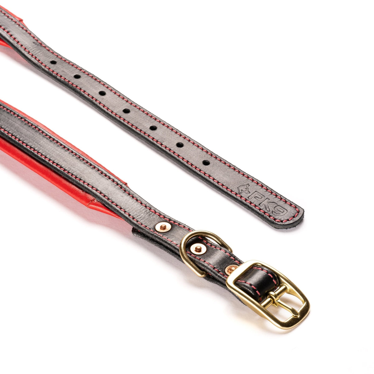 Leather Dog Collar for Strong, Comfortable Handling: Padded Veg-Tanned Design with Brass Hardware