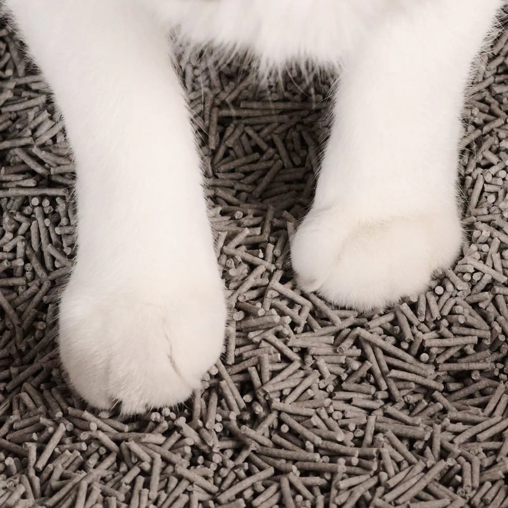 [Formula:Unscented] Really Great Cat Litter - Tuft and Paw