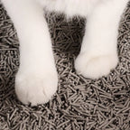 [Formula:Unscented] Really Great Cat Litter - Tuft and Paw
