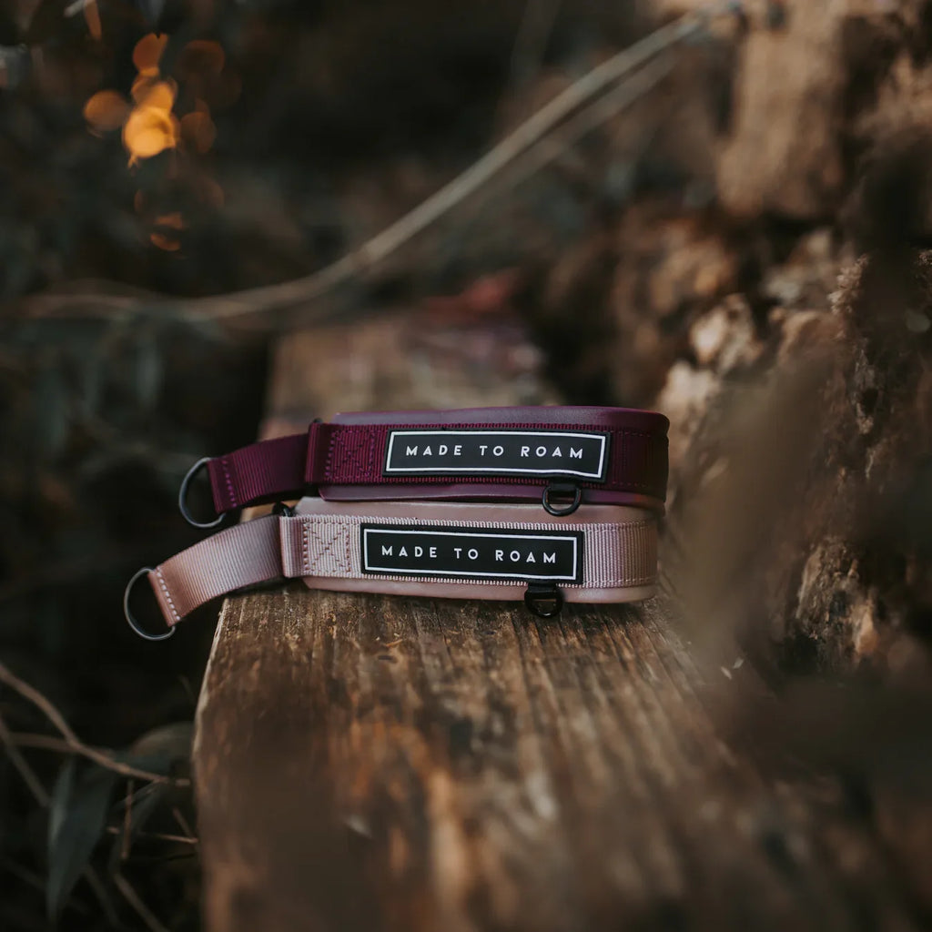 Martingale Collar product image 30