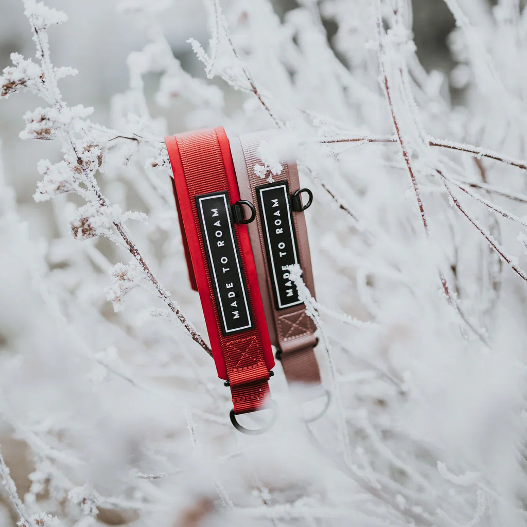 Martingale Collar product image 31