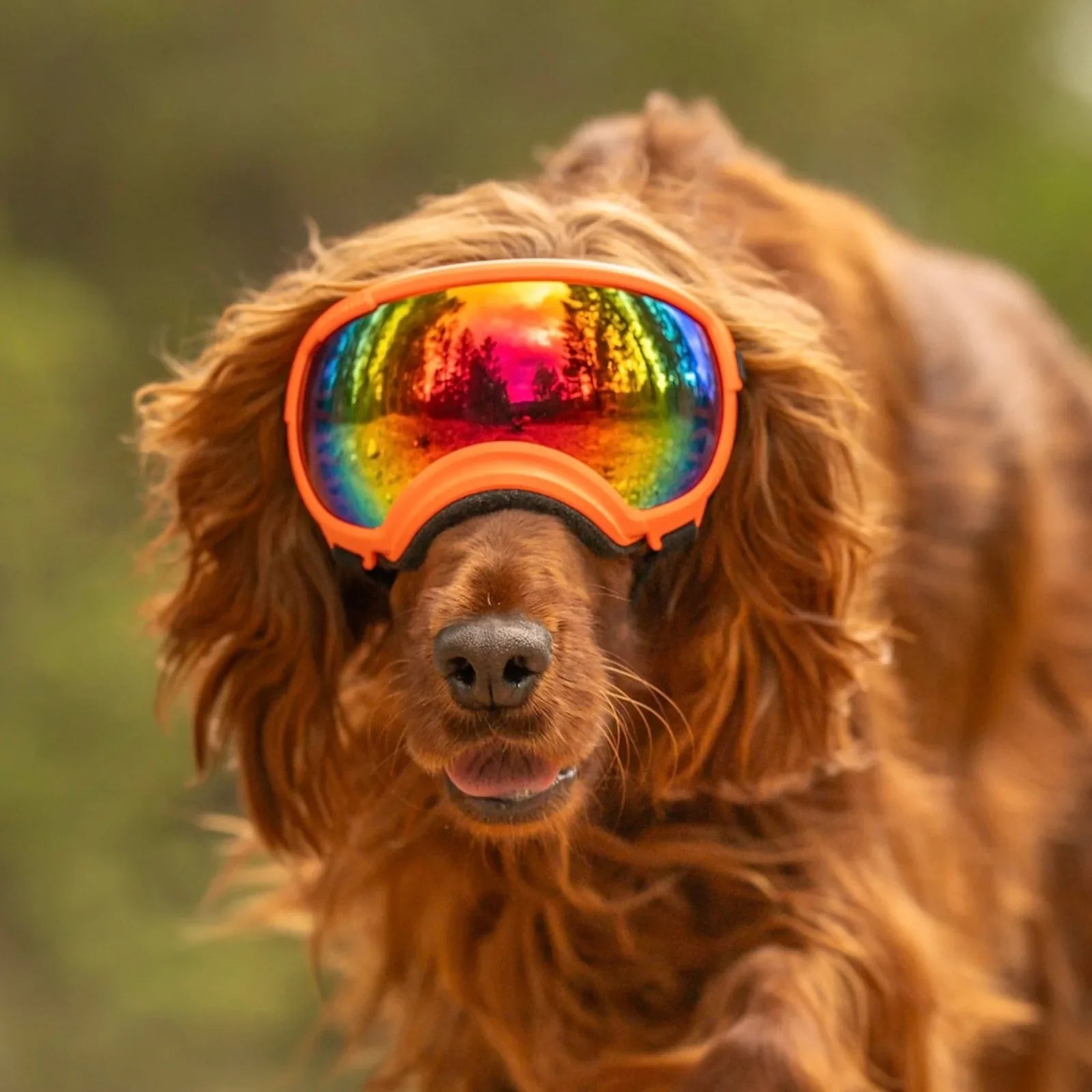 UV protective dog goggles with replaceable lenses, product image 2