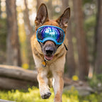 UV protective dog goggles with replaceable lenses, product image 14