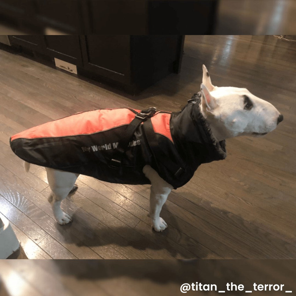 Dog Winter Vest product image 5