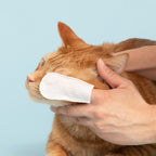 Pet Eye Cleaning Wipes for Dogs: 50 Finger Wipes for Gentle Daily Eye Care at Home or on the Go