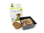Small Animal Wheatgrass Kit, Organic 3-Pack for Fresh Green Treats and Digestive Enrichment