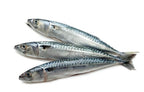 Raw Sardines product image 4