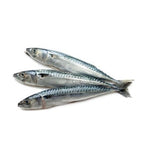 Raw Sardines product image 3