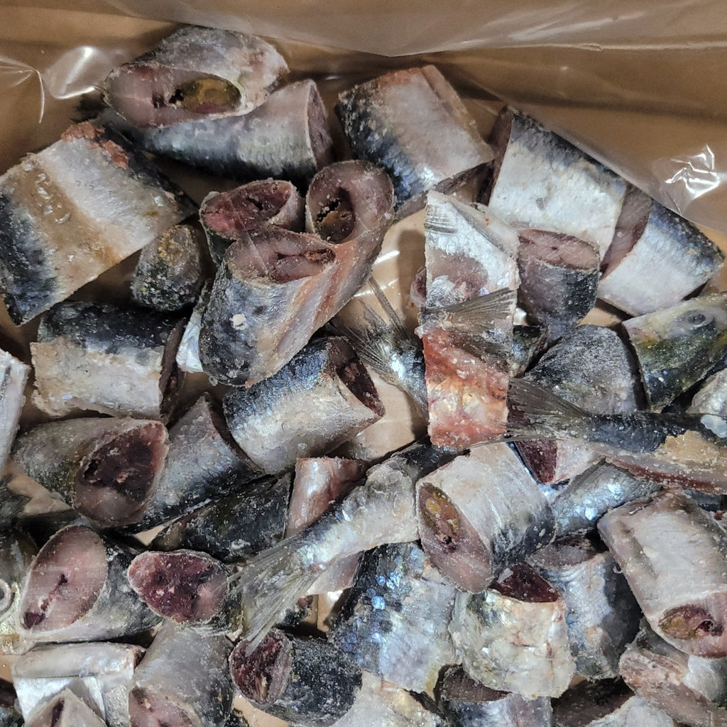 Raw Sardines product image 2