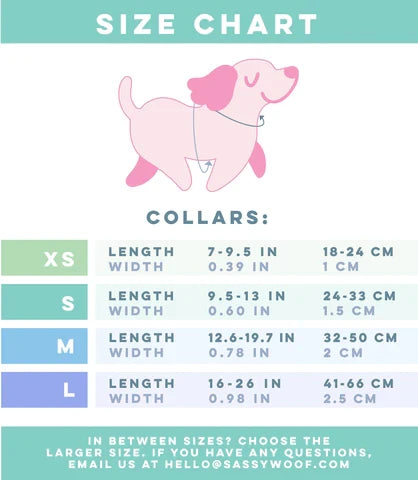 Dog Collar product image 4