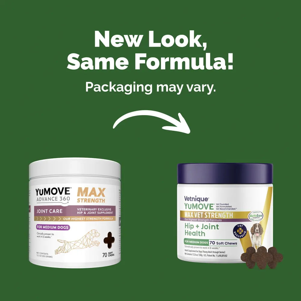 Dog Joint Supplement product image 7